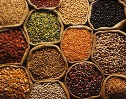 Manufacturers Exporters and Wholesale Suppliers of Food Grains Pune Maharashtra